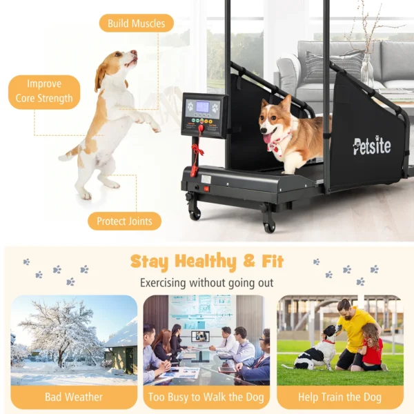 Petsite Dog Treadmill for Small/Medium Dogs Indoors Pet Running Training Machine - Image 8